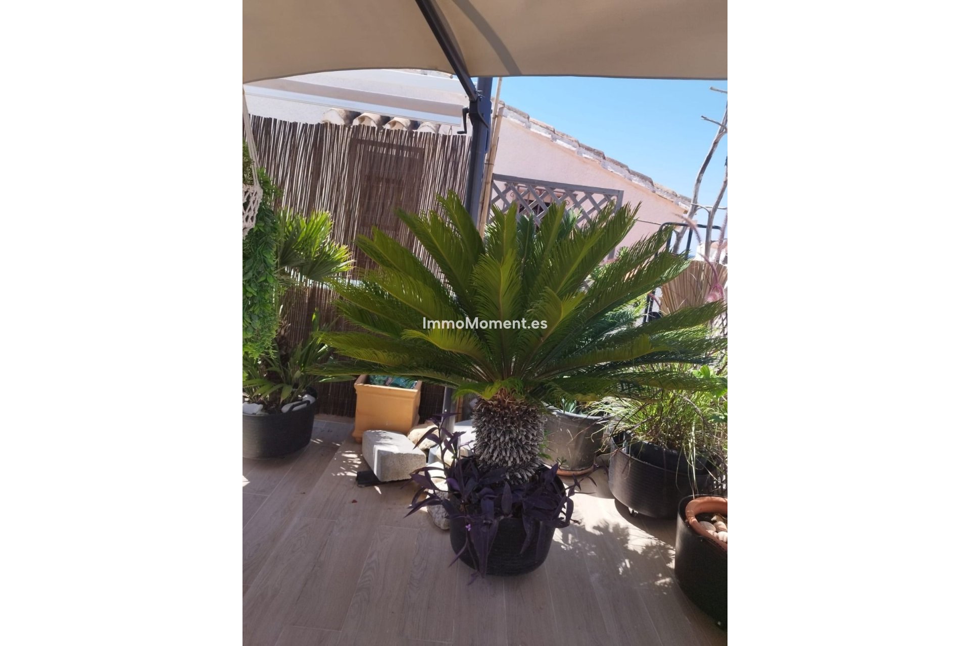 Revente - Villa individuelle - Estepona  - Estepona Centro