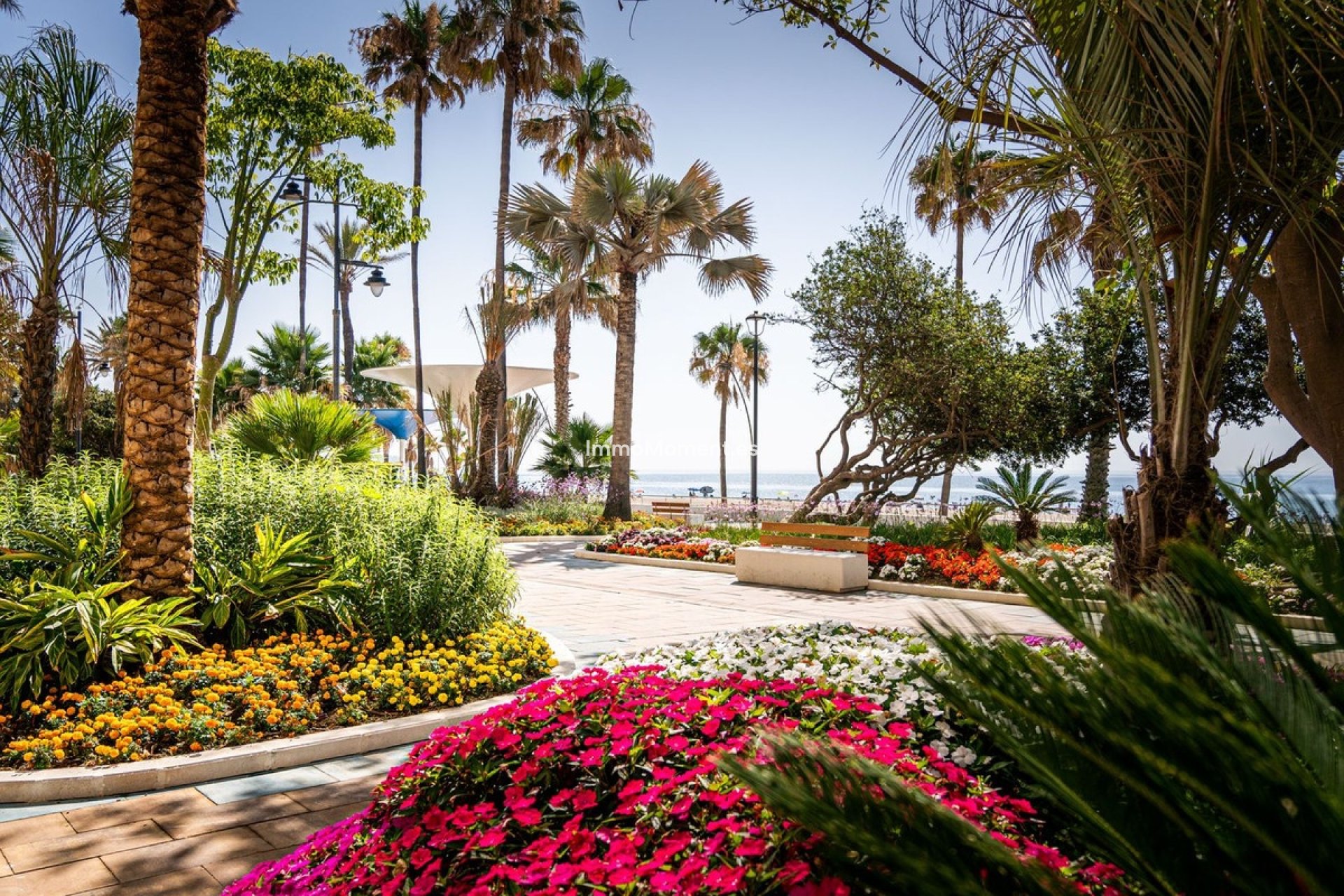 Revente - Villa individuelle - Estepona  - Estepona Centro