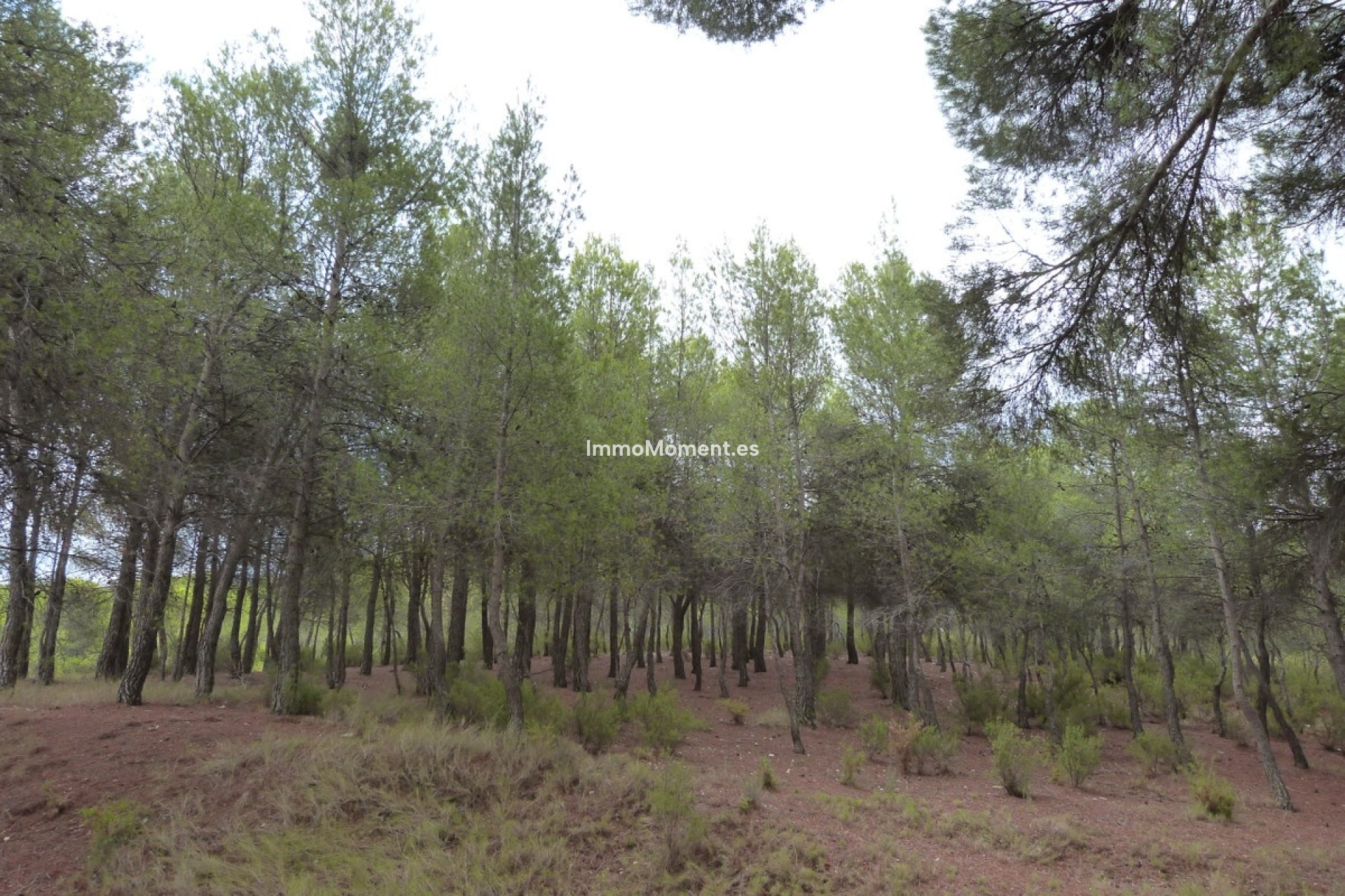 Revente - Villa individuelle - Ibi - Ibi Centro
