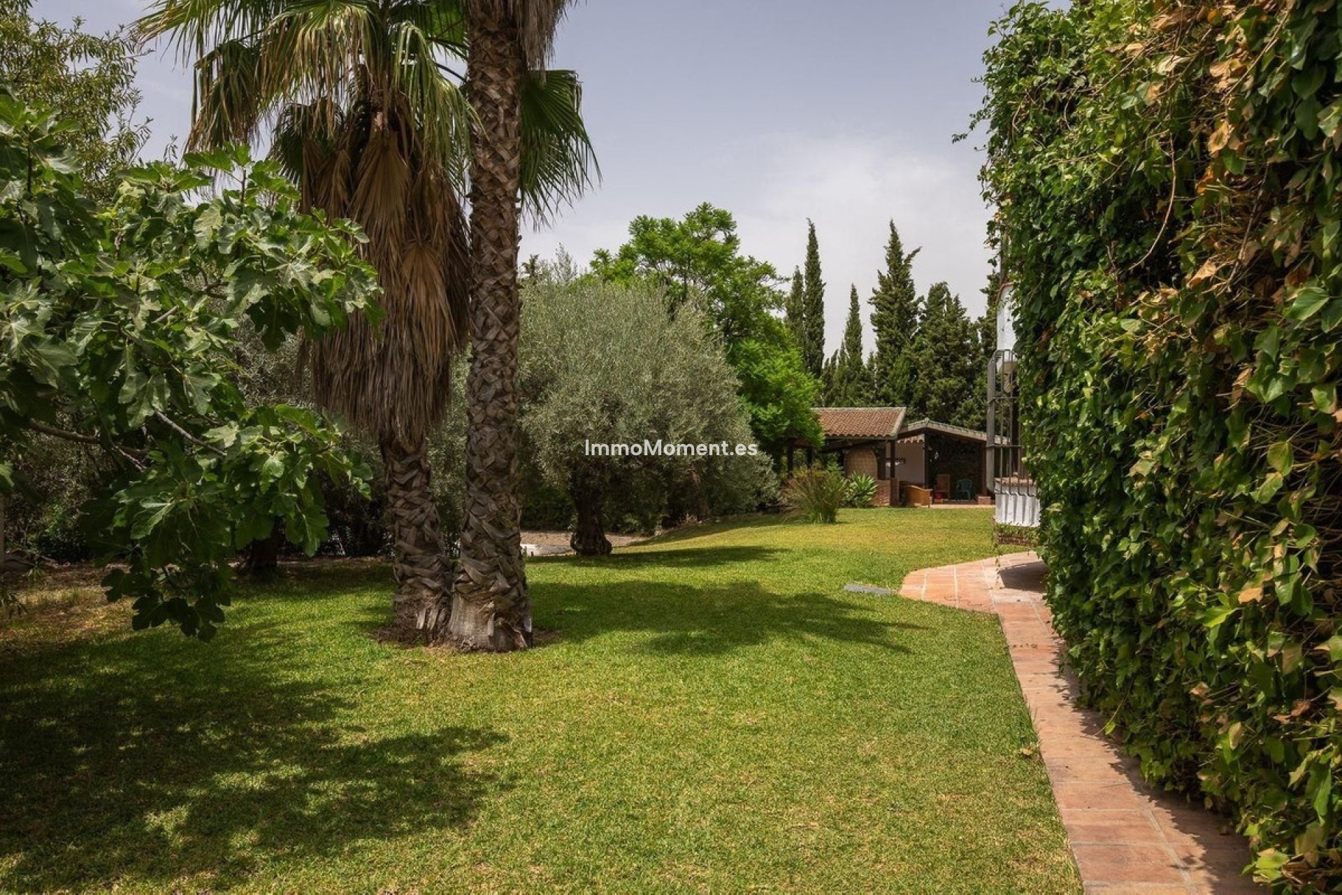 Revente - Villa individuelle - Intérieur                       - Alhaurín el Grande Centro