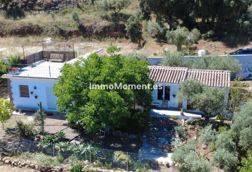 Revente - Villa individuelle - Intérieur                       - Alhaurín el Grande Centro