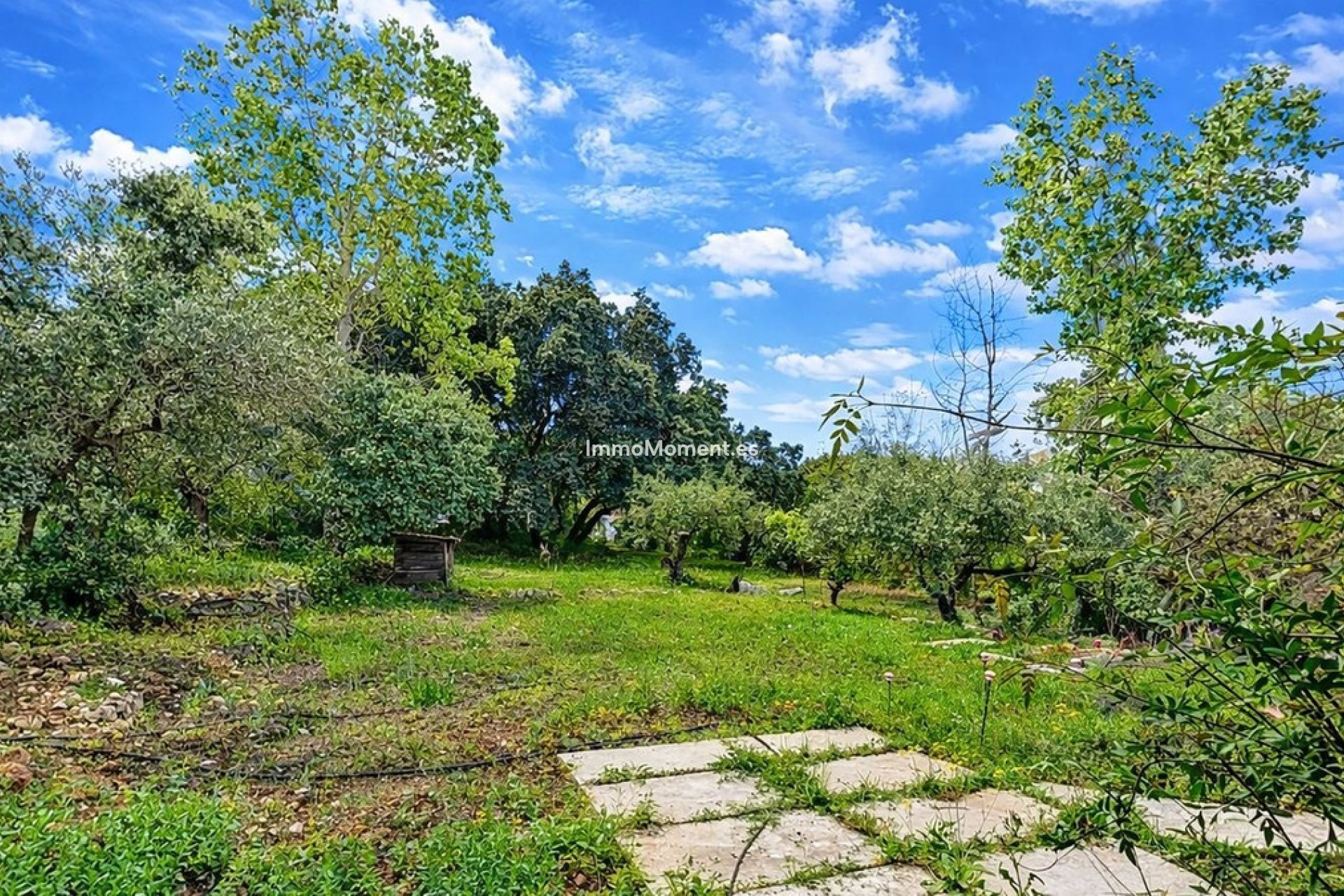 Revente - Villa individuelle - Intérieur                       - Alhaurín el Grande Centro