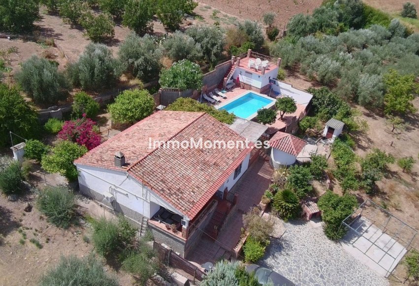Revente - Villa individuelle - Intérieur                       - Alora