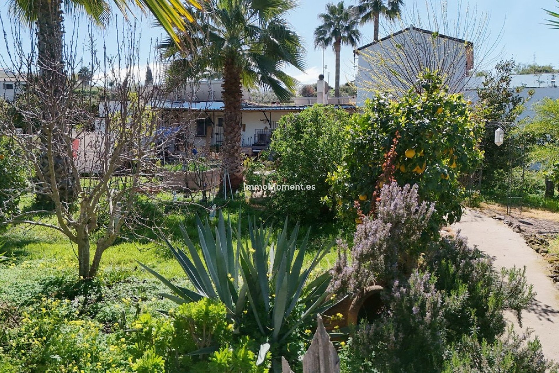 Revente - Villa individuelle - Intérieur                       - Coín