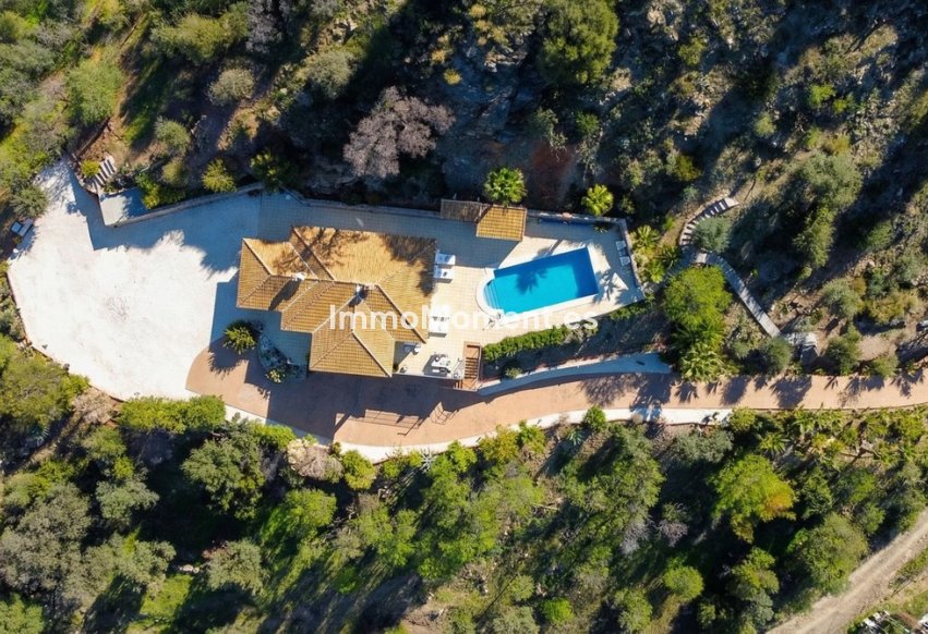 Revente - Villa individuelle - Intérieur                       - Guaro
