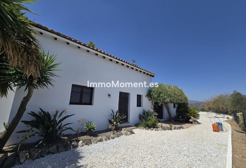 Revente - Villa individuelle - Intérieur                       - Monda