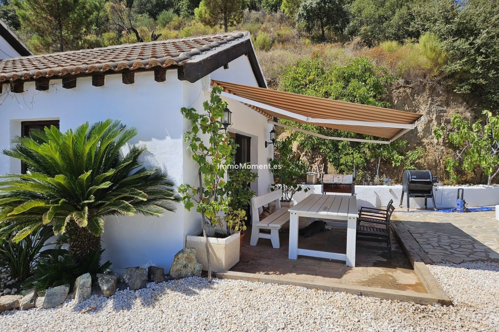 Revente - Villa individuelle - Intérieur                       - Monda