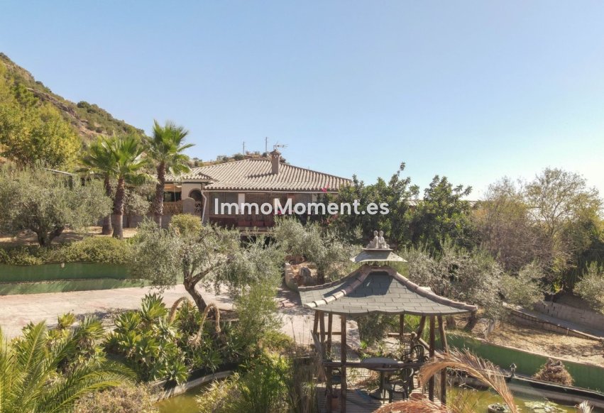 Revente - Villa individuelle - Intérieur                       - Monda