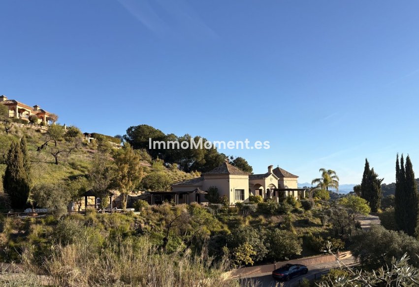 Revente - Villa individuelle - Intérieur                       - Monda