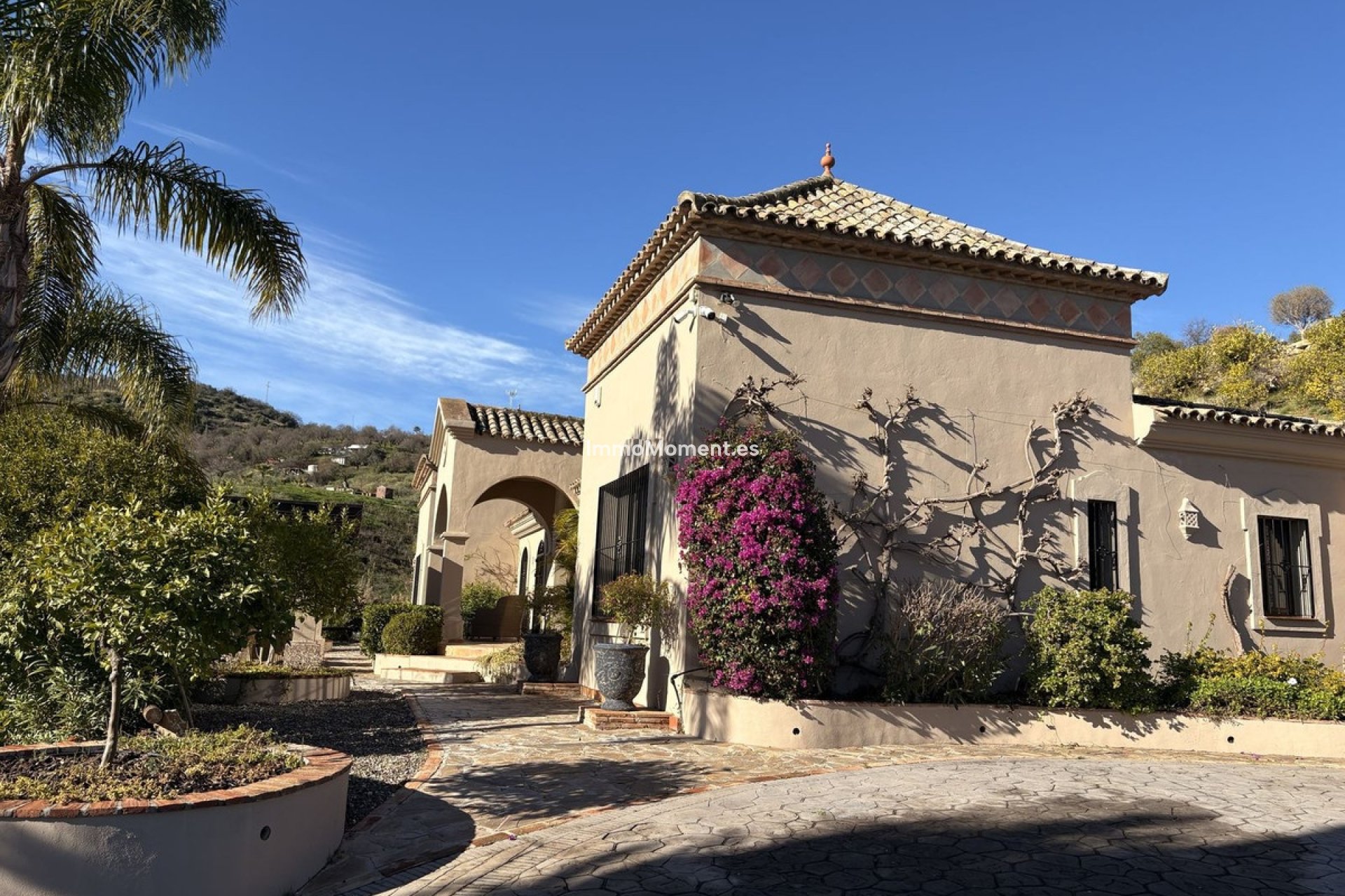 Revente - Villa individuelle - Intérieur                       - Monda