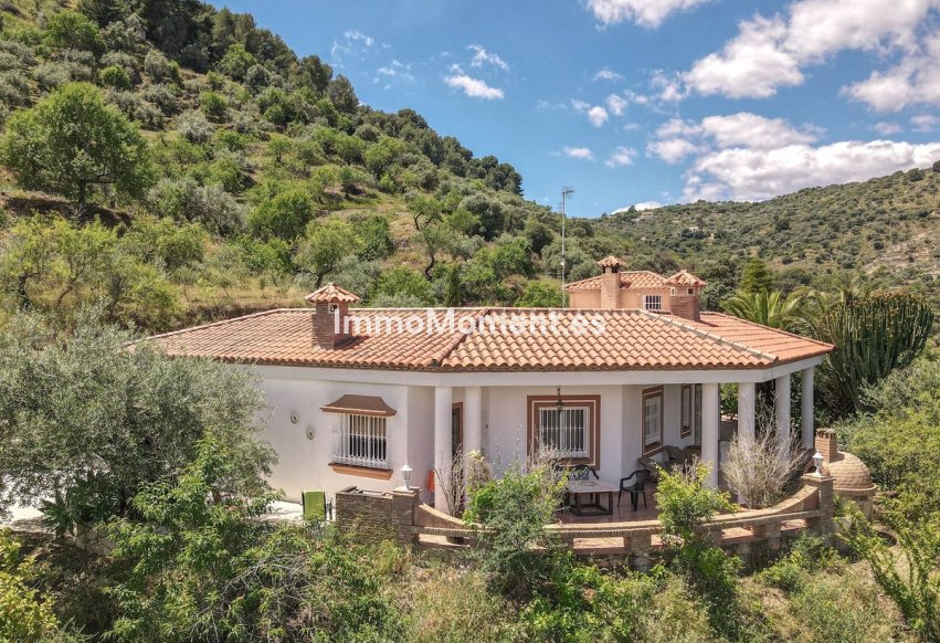 Revente - Villa individuelle - Intérieur                       - Monda