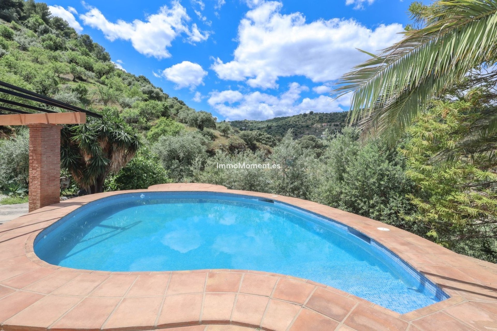 Revente - Villa individuelle - Intérieur                       - Monda