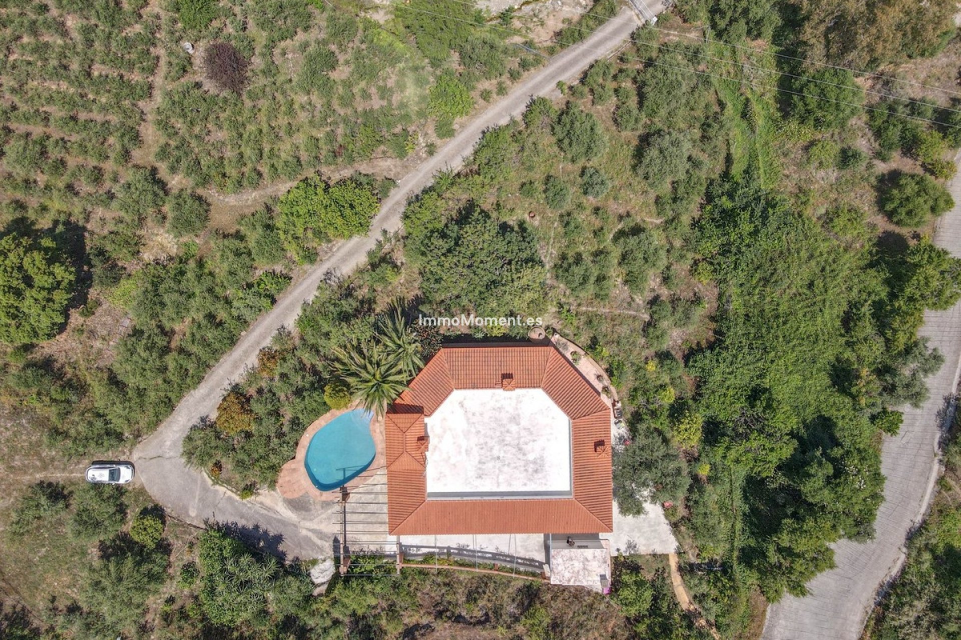 Revente - Villa individuelle - Intérieur                       - Monda