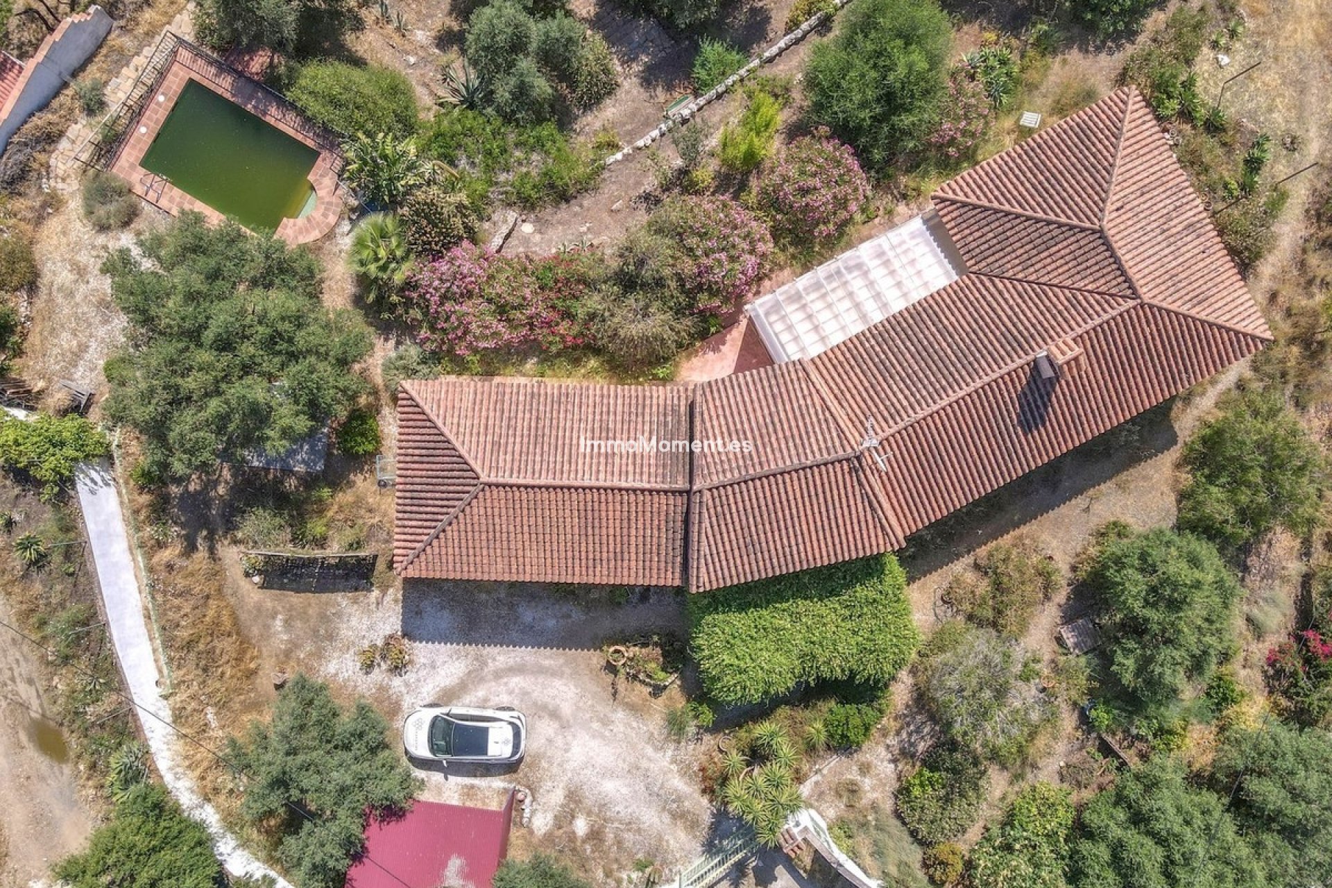 Revente - Villa individuelle - Intérieur                       - Monda