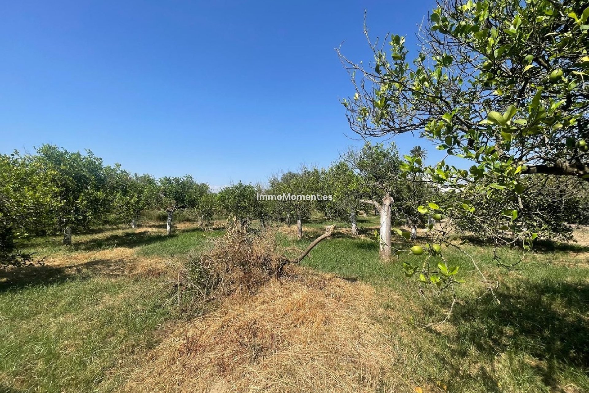 Revente - Villa individuelle - Intérieur                       - Pizarra