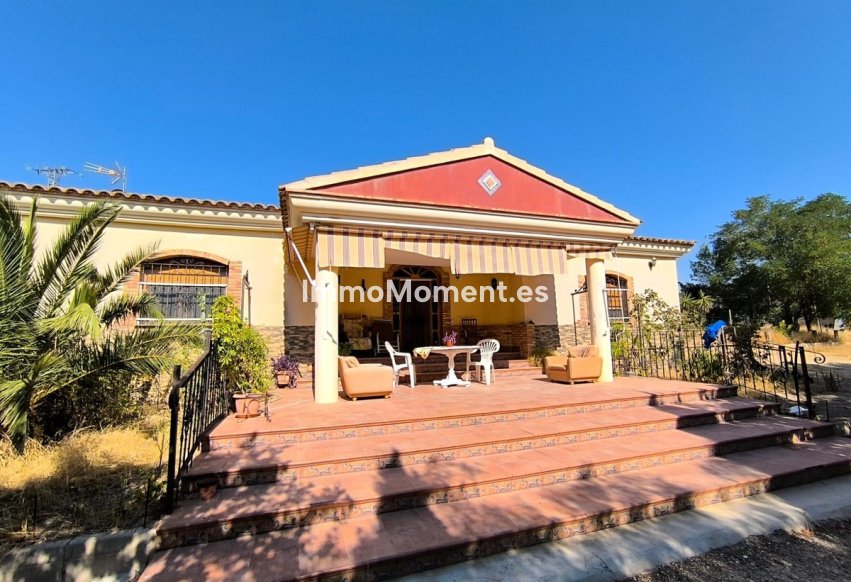 Revente - Villa individuelle - Jumilla - Jumilla Centro
