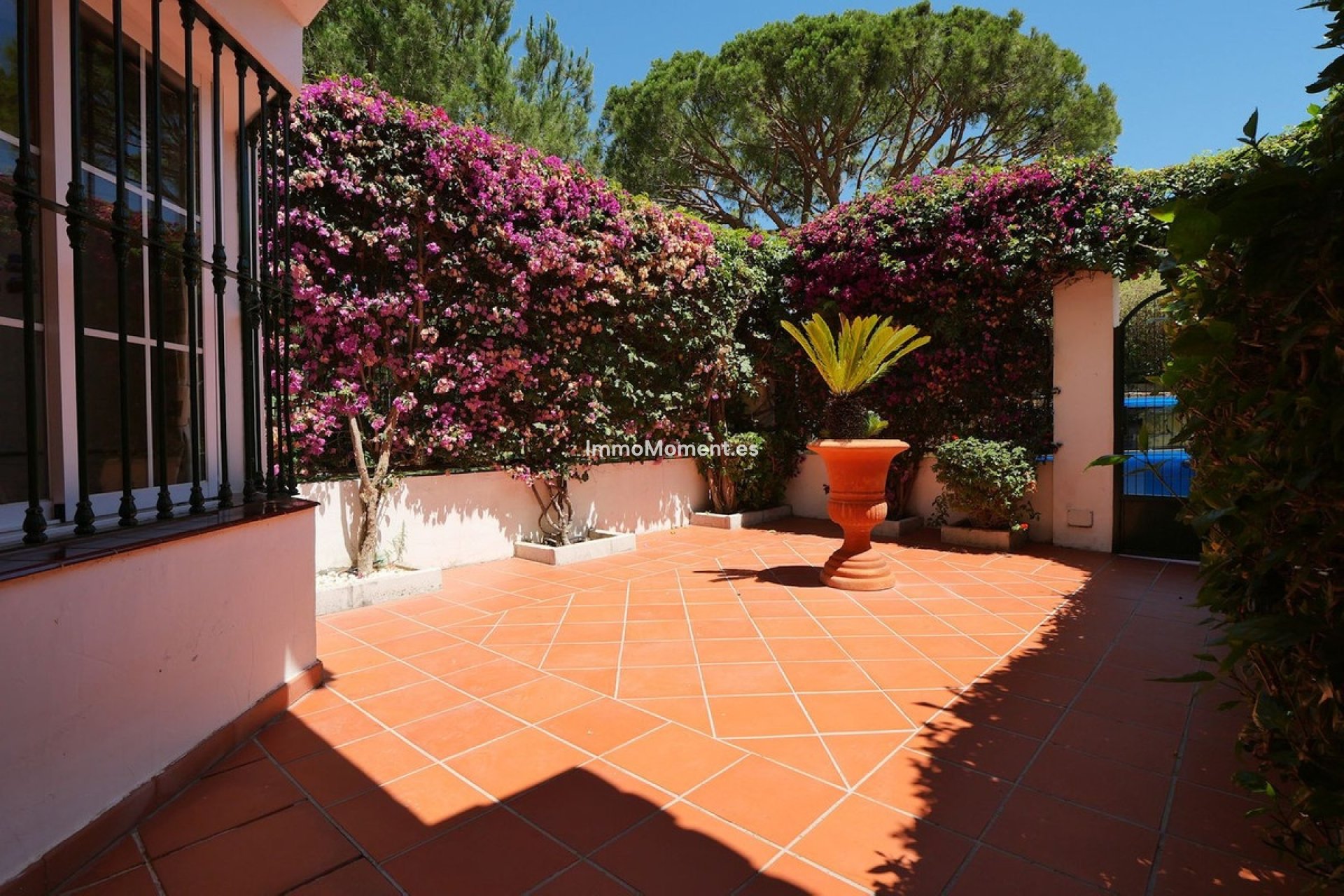 Revente - Villa individuelle - Marbella - Cabopino