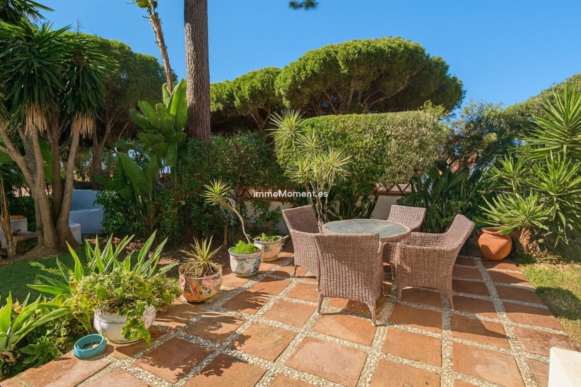 Revente - Villa individuelle - Marbella - El Rosario