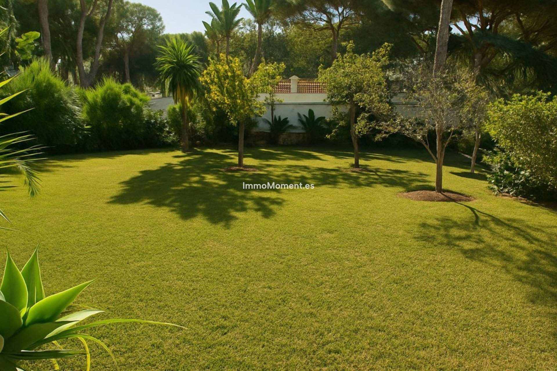 Revente - Villa individuelle - Marbella - El Rosario