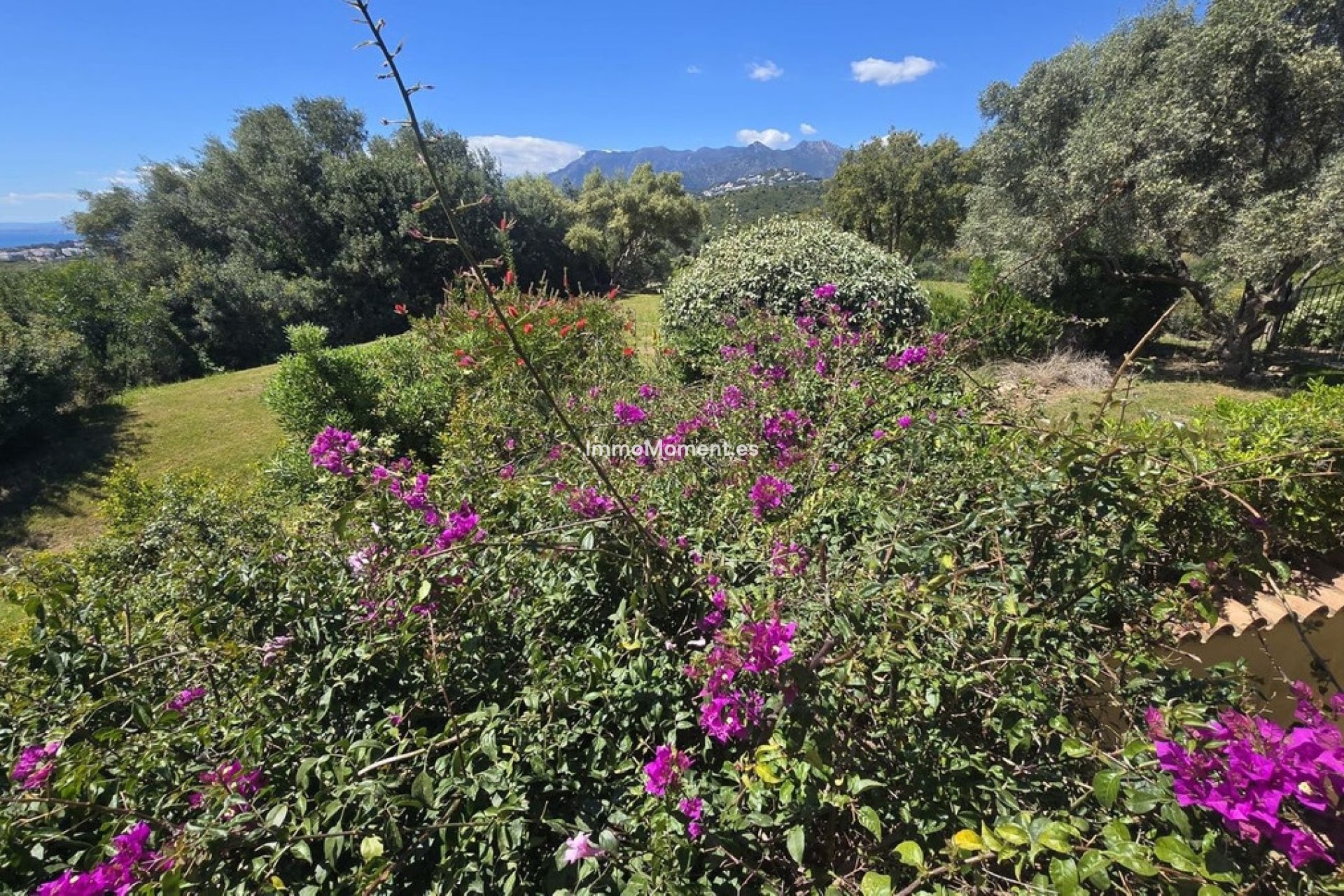 Revente - Villa individuelle - Marbella - El Rosario