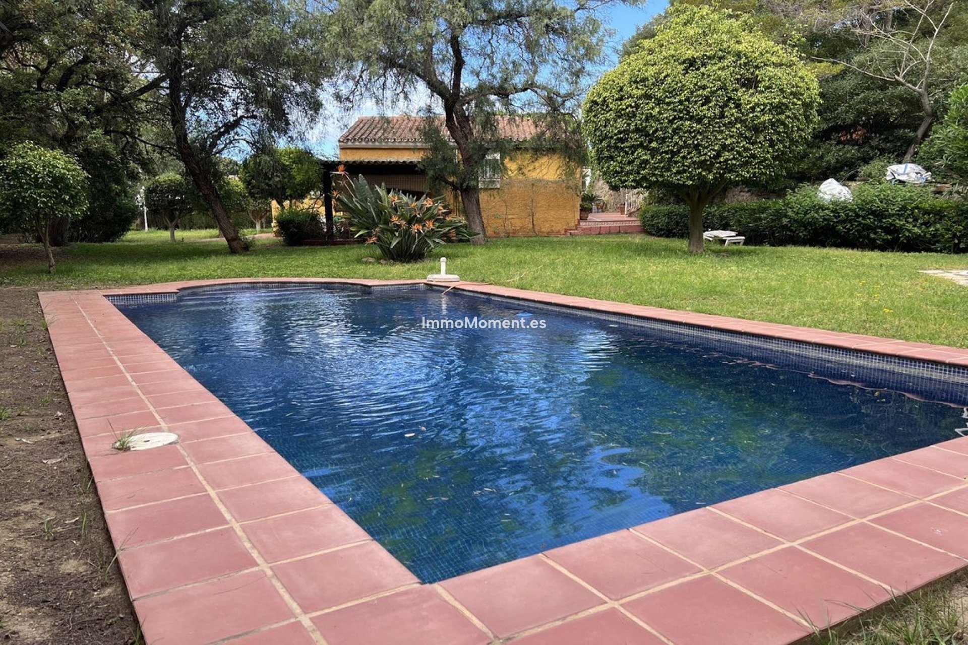 Revente - Villa individuelle - Marbella - El Rosario