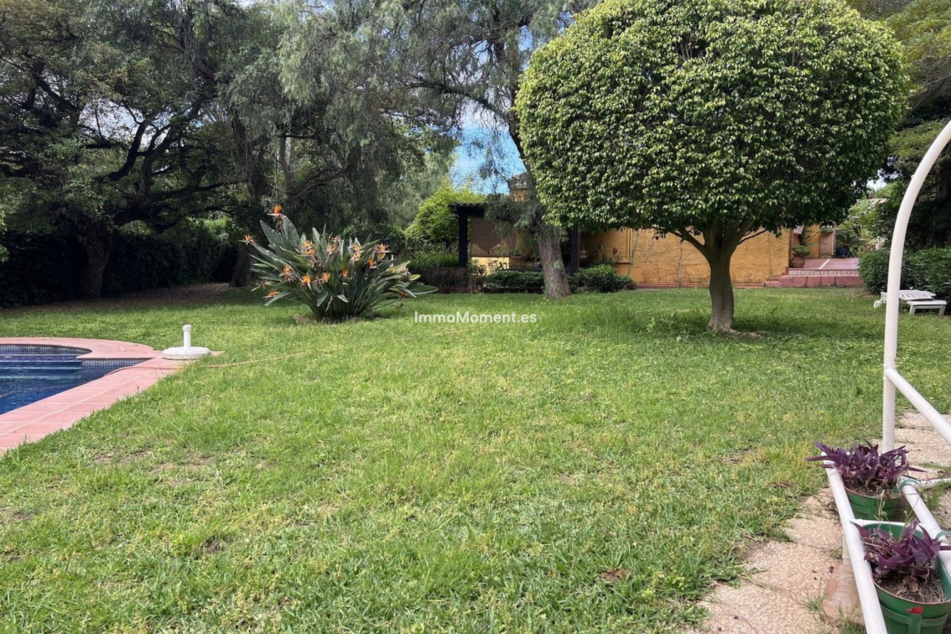 Revente - Villa individuelle - Marbella - El Rosario