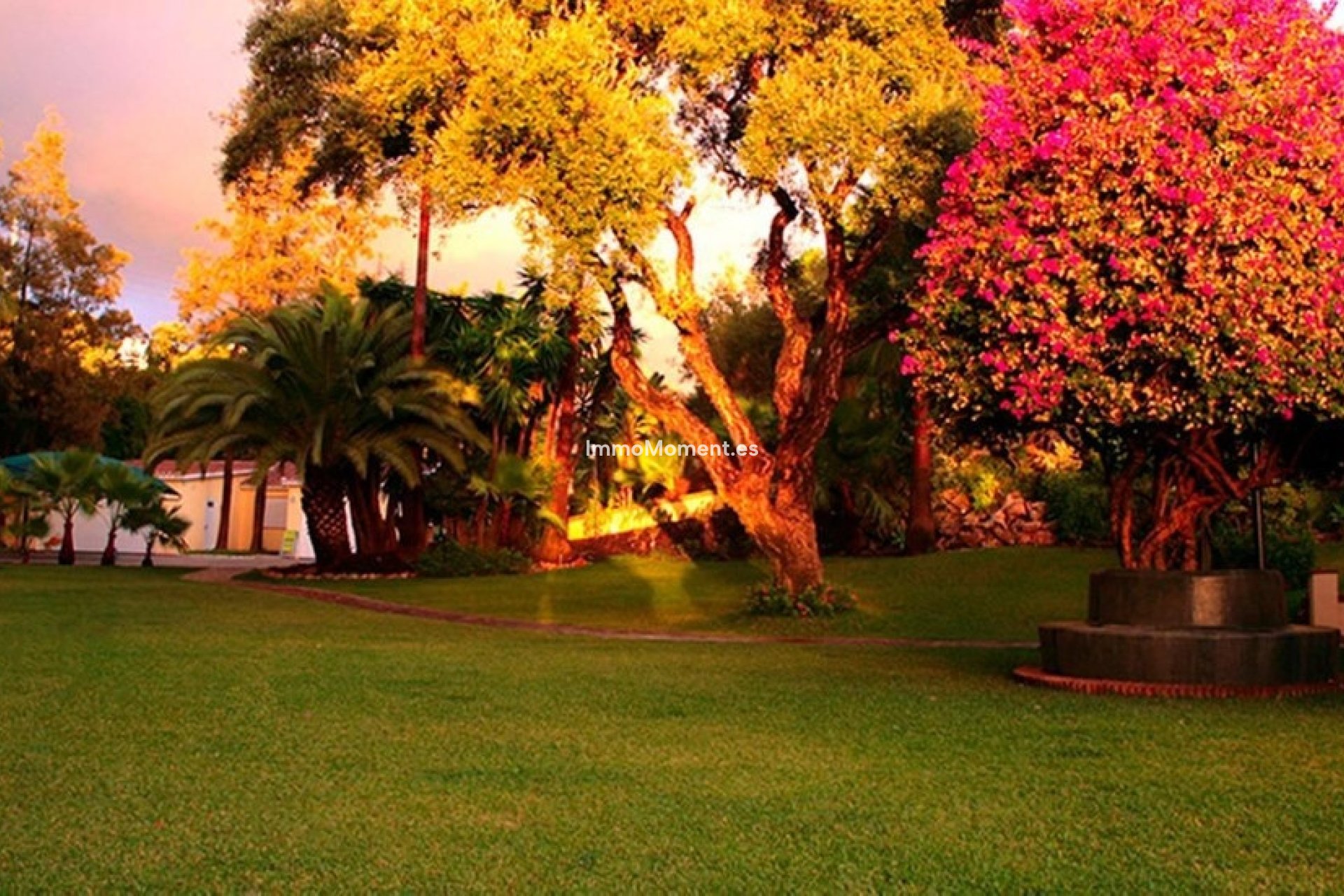 Revente - Villa individuelle - Marbella - Elviria