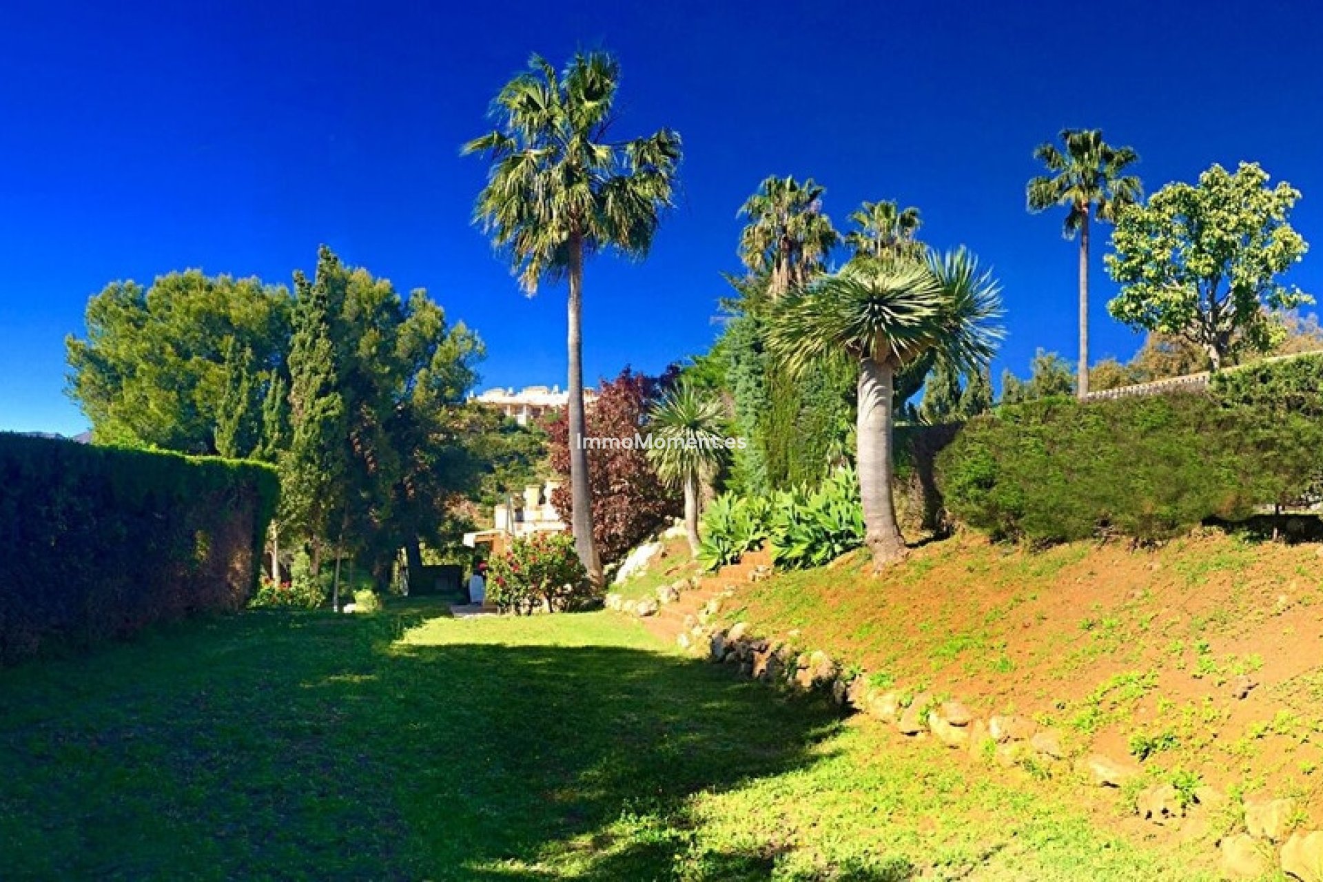 Revente - Villa individuelle - Marbella - Elviria