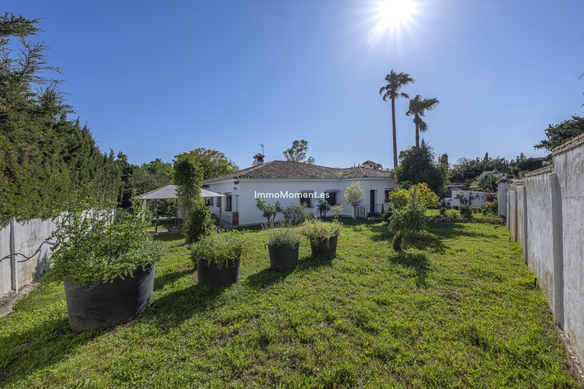 Revente - Villa individuelle - Marbella - Guadalmina Alta