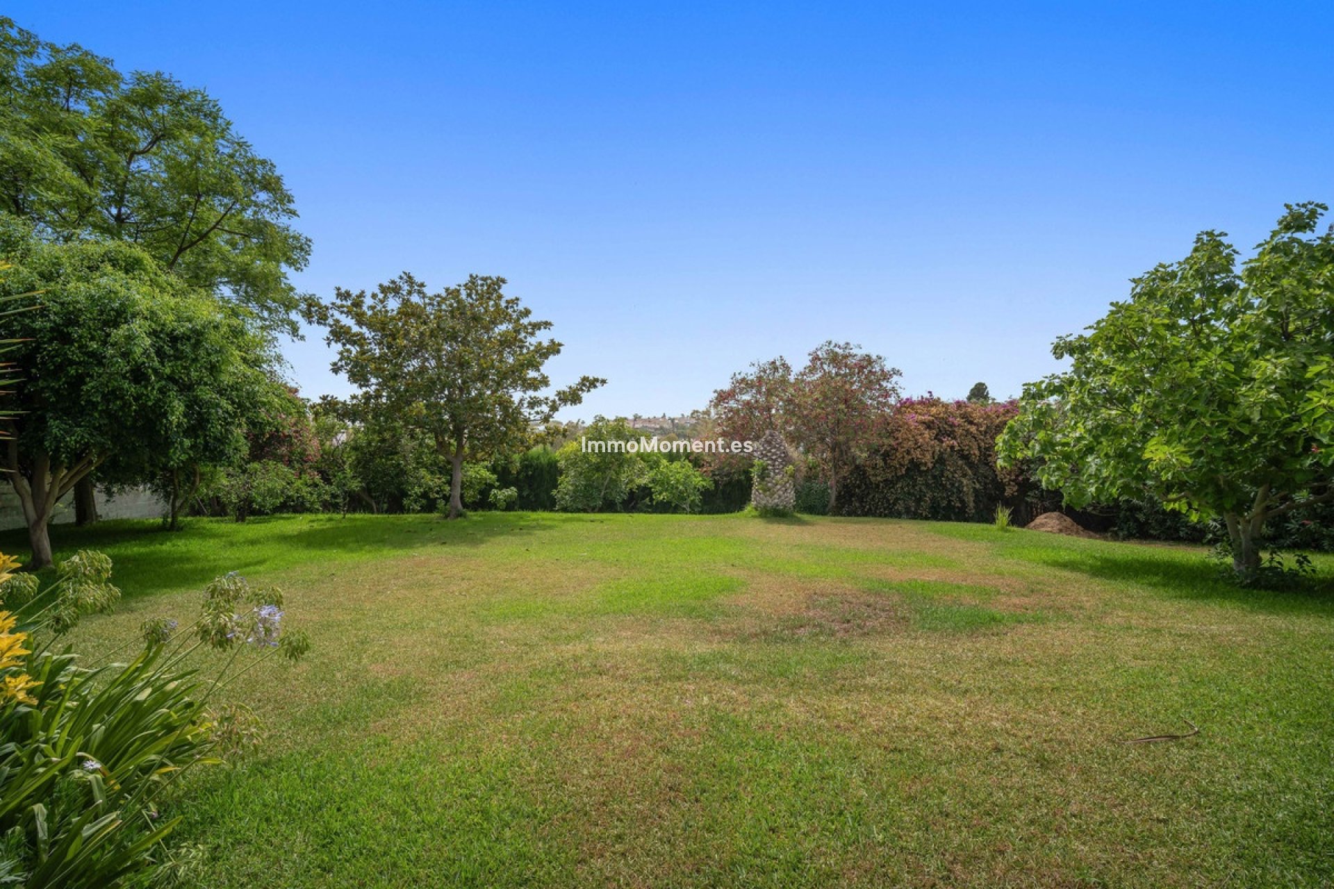 Revente - Villa individuelle - Marbella - Guadalmina Alta