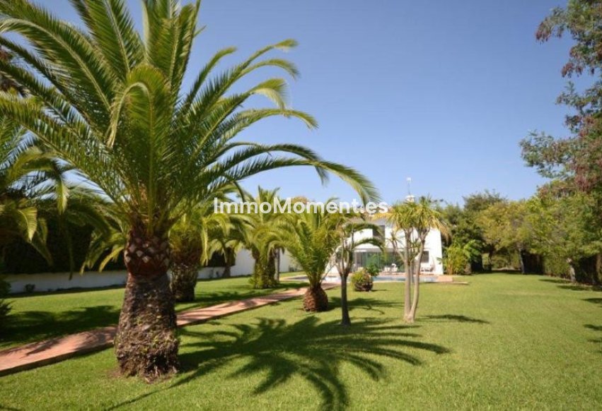 Revente - Villa individuelle - Marbella - Guadalmina Baja