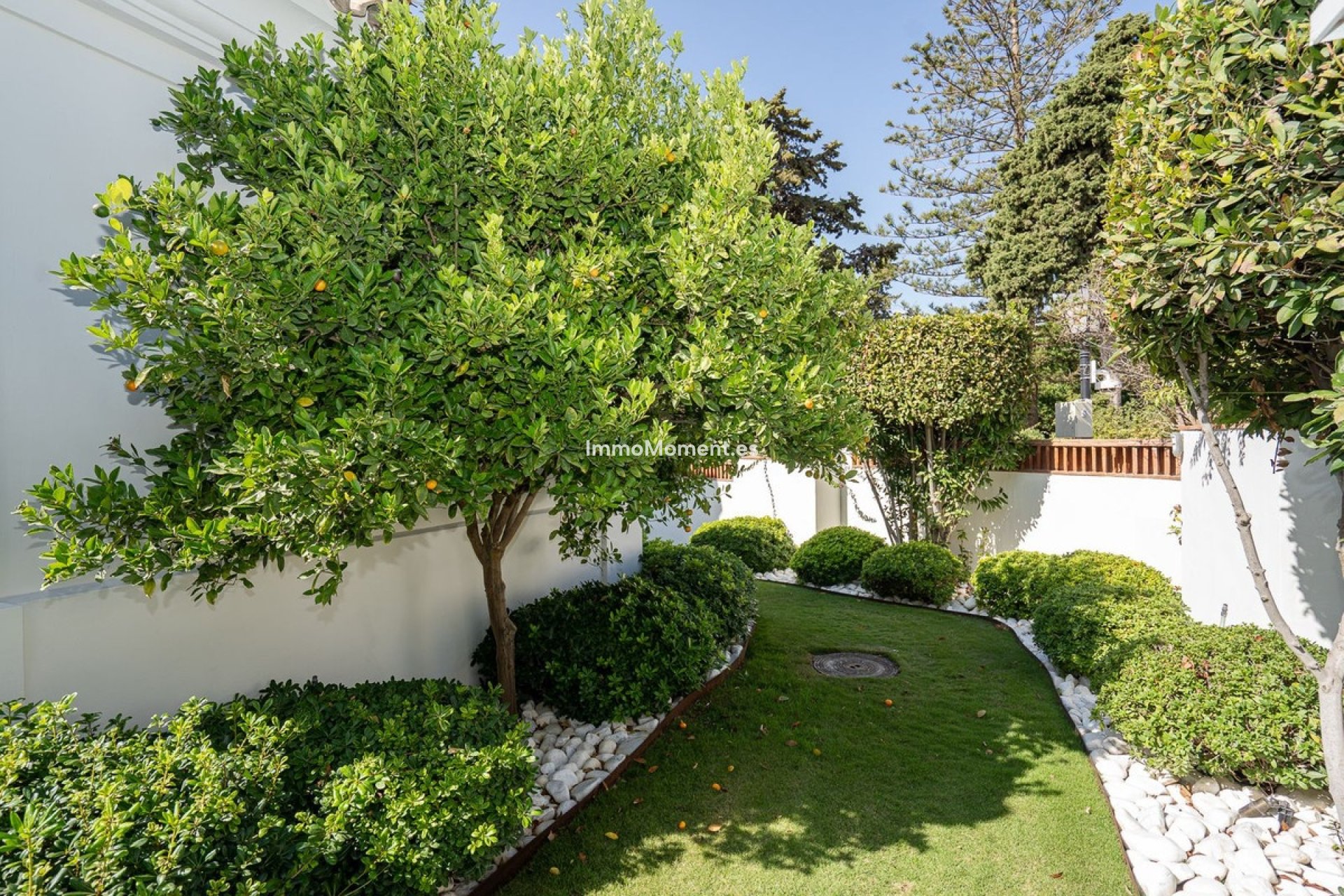 Revente - Villa individuelle - Marbella - Guadalmina Baja