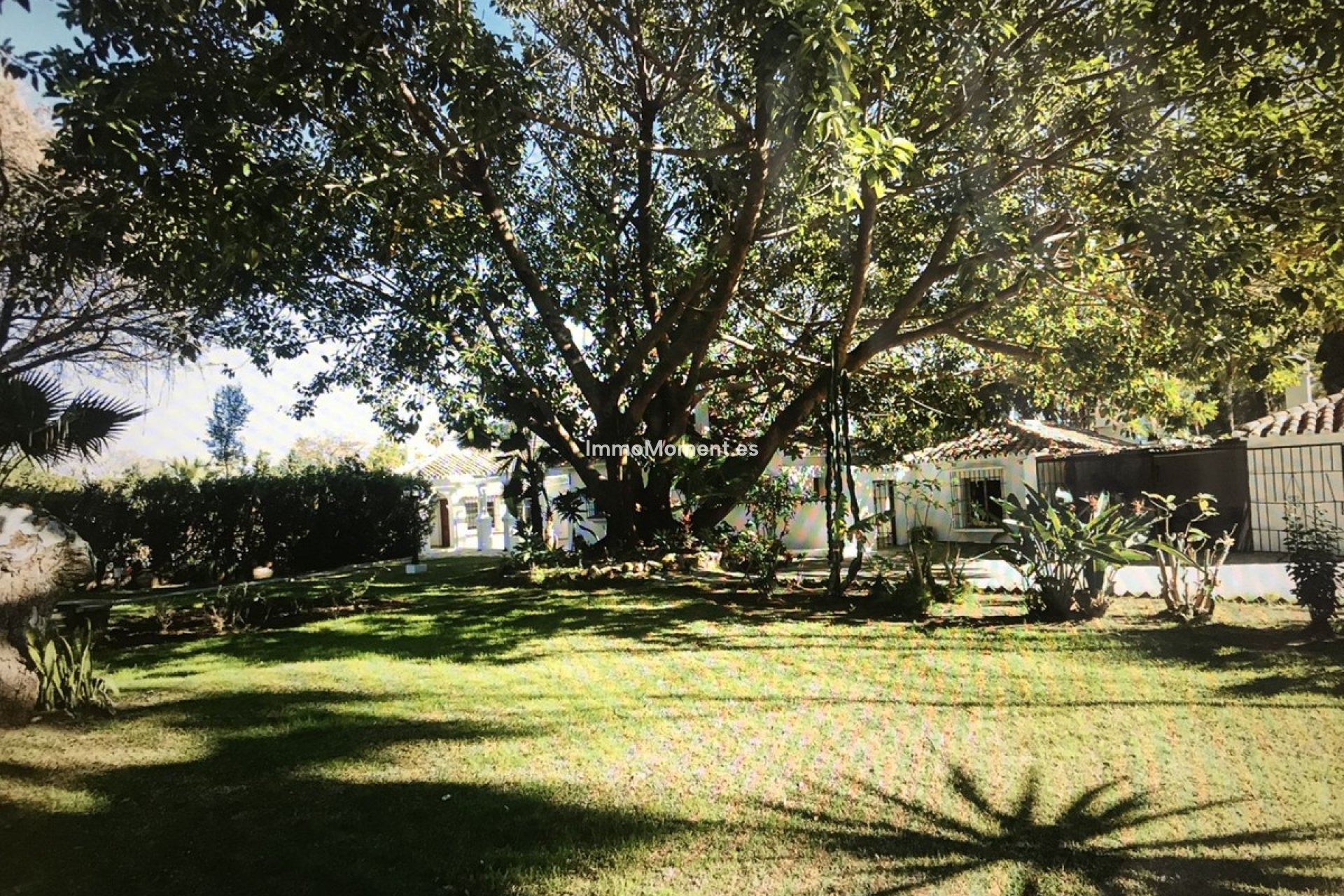Revente - Villa individuelle - Marbella - Guadalmina Baja