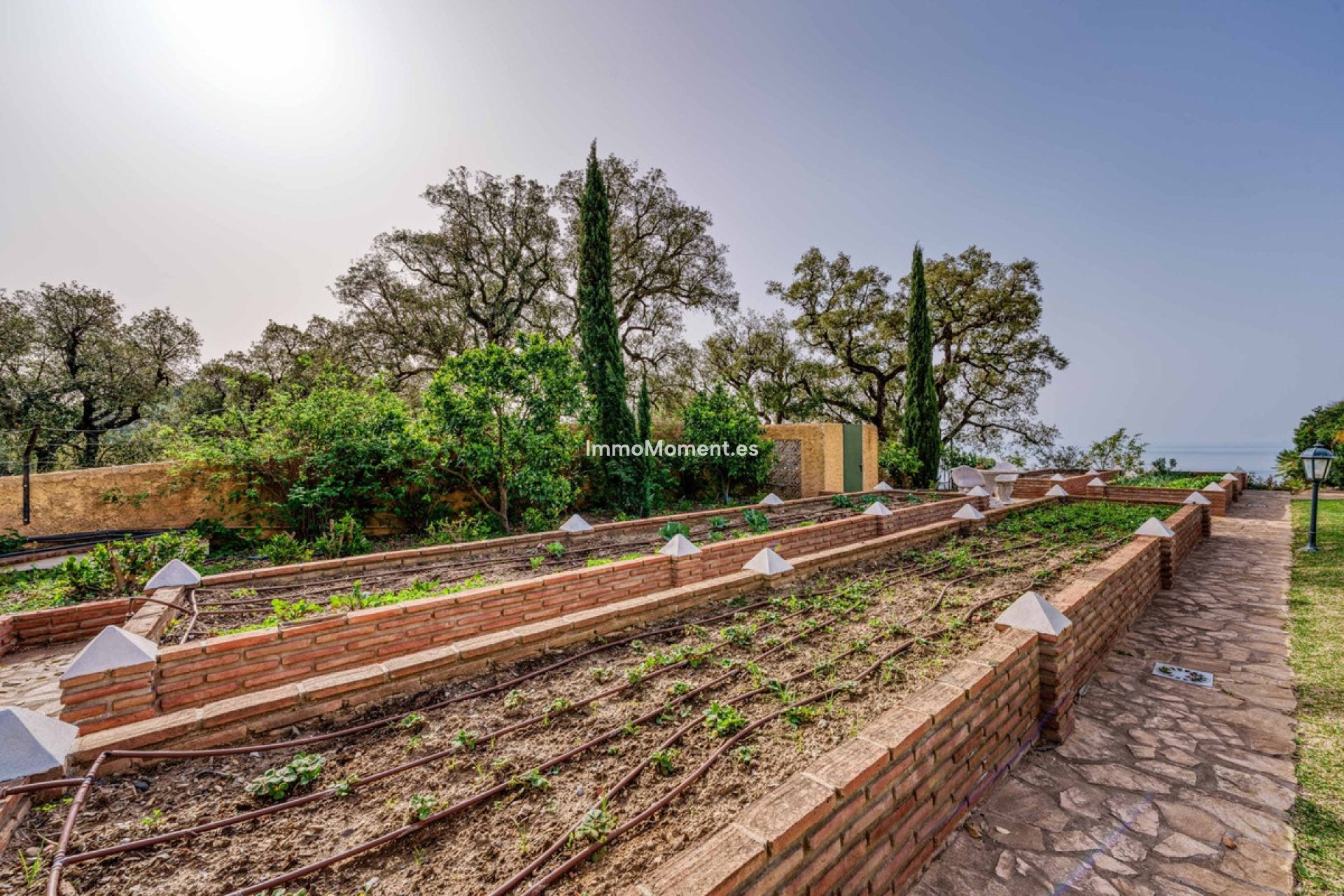 Revente - Villa individuelle - Marbella - La Mairena