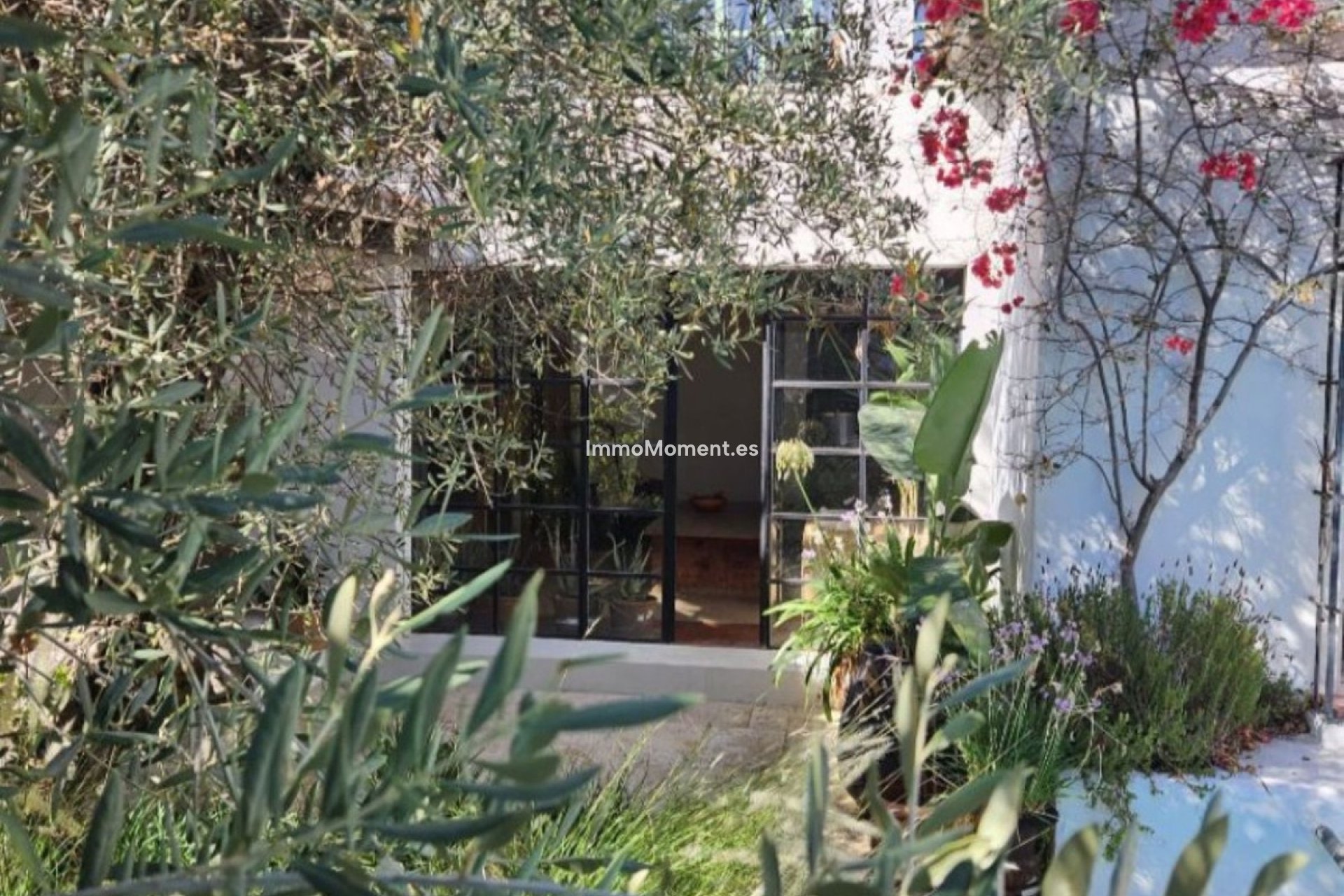 Revente - Villa individuelle - Marbella - Marbella Centro