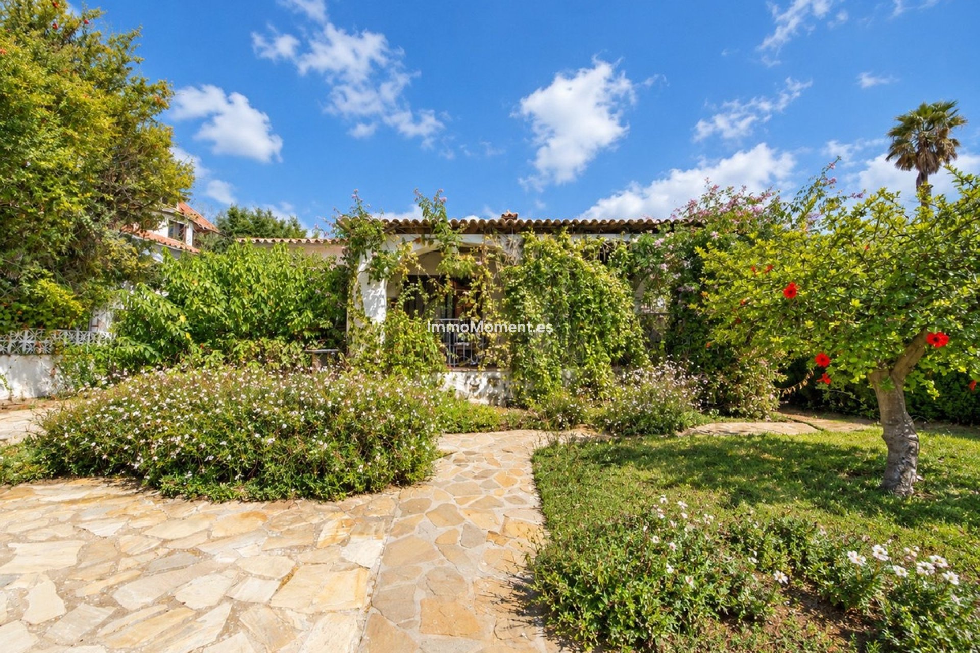 Revente - Villa individuelle - Marbella - Marbella Centro