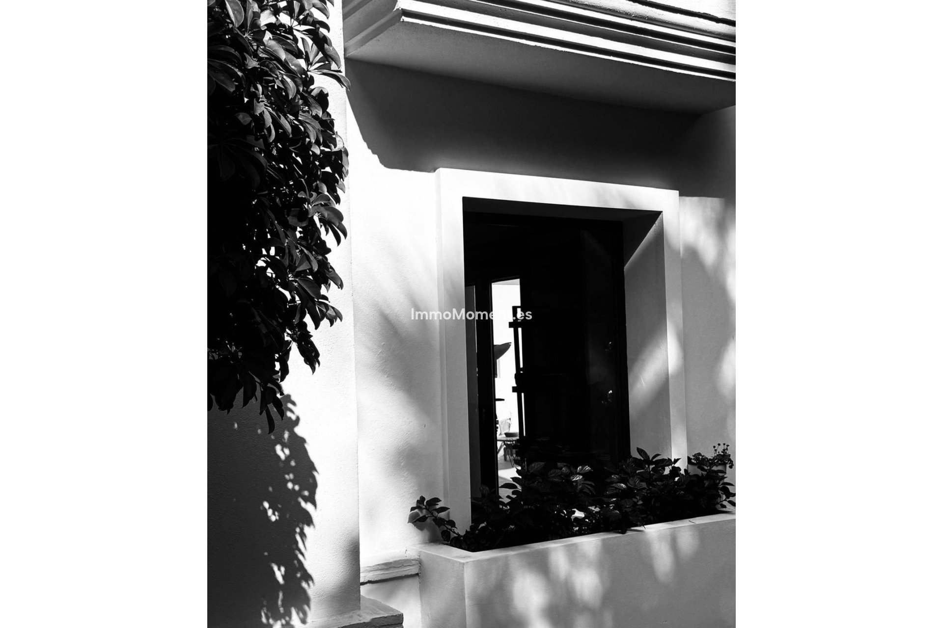 Revente - Villa individuelle - Marbella - Marbella Centro