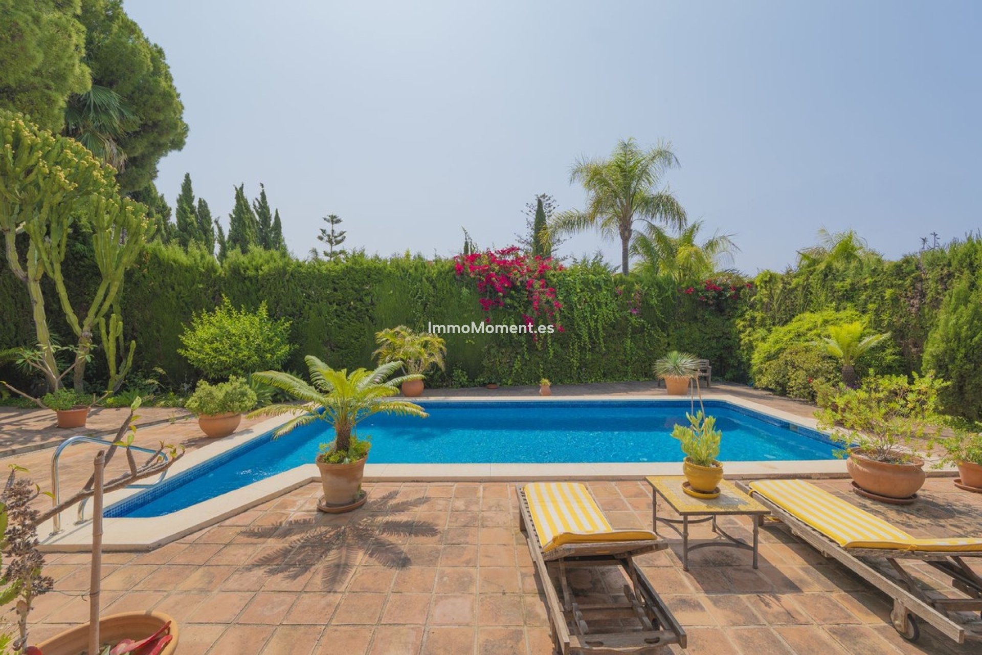 Revente - Villa individuelle - Marbella - Marbella Centro