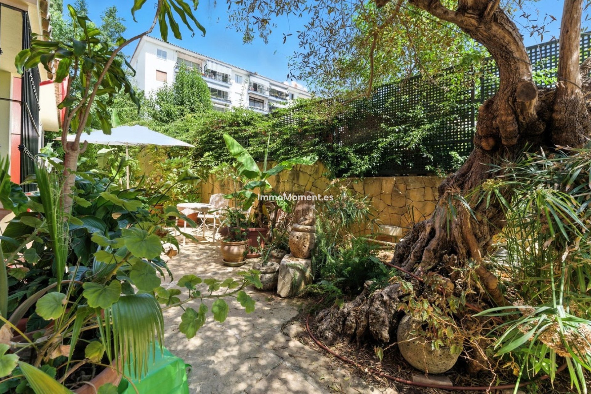 Revente - Villa individuelle - Marbella - Marbella Centro