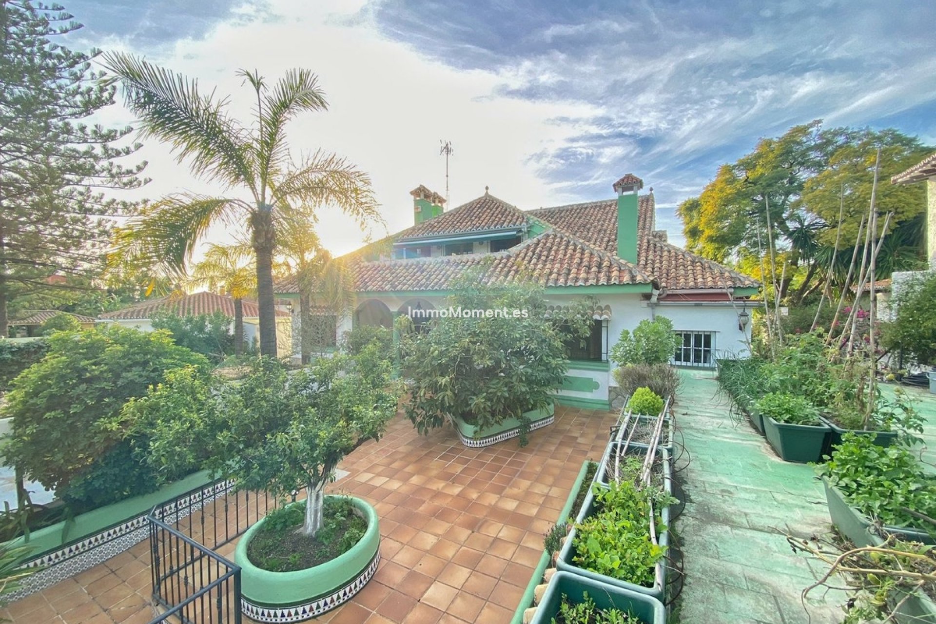 Revente - Villa individuelle - Marbella - Marbella Centro