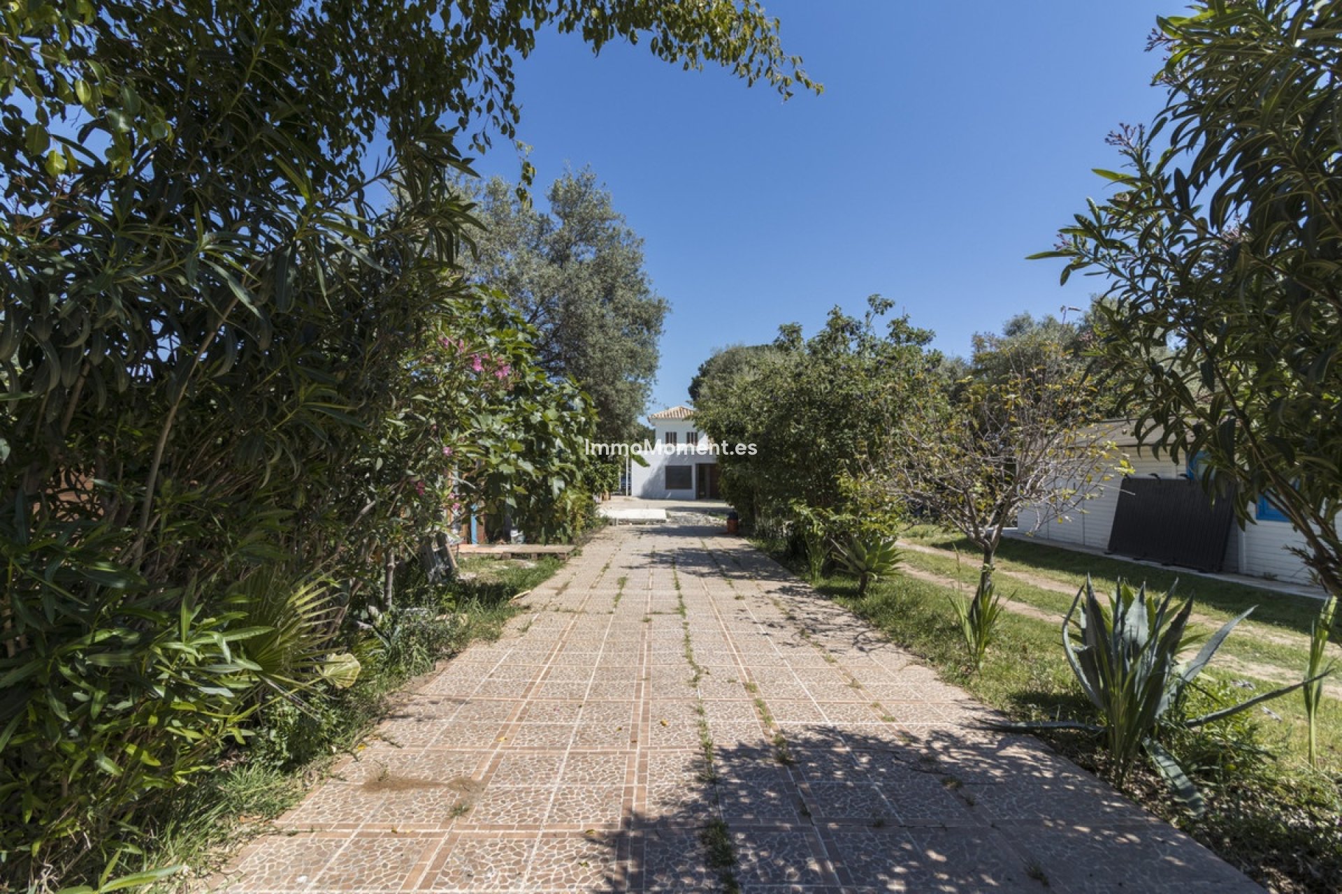 Revente - Villa individuelle - Marbella - Marbella Centro