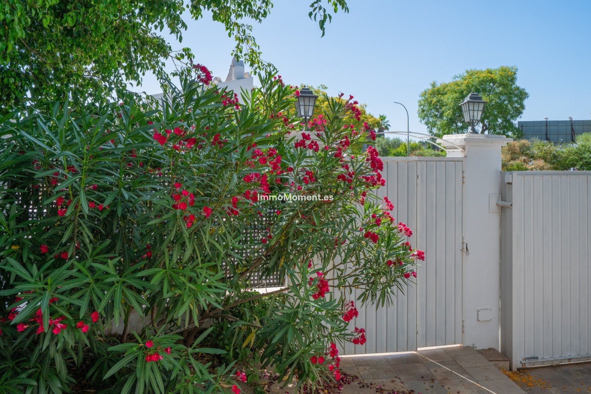 Revente - Villa individuelle - Marbella - Marbella Centro