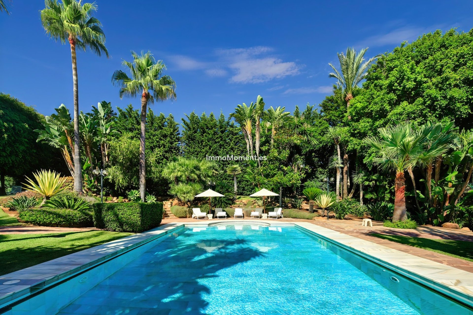 Revente - Villa individuelle - Marbella - Marbella Centro