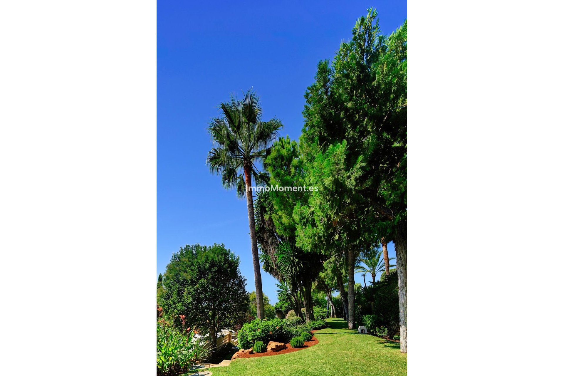 Revente - Villa individuelle - Marbella - Marbella Centro