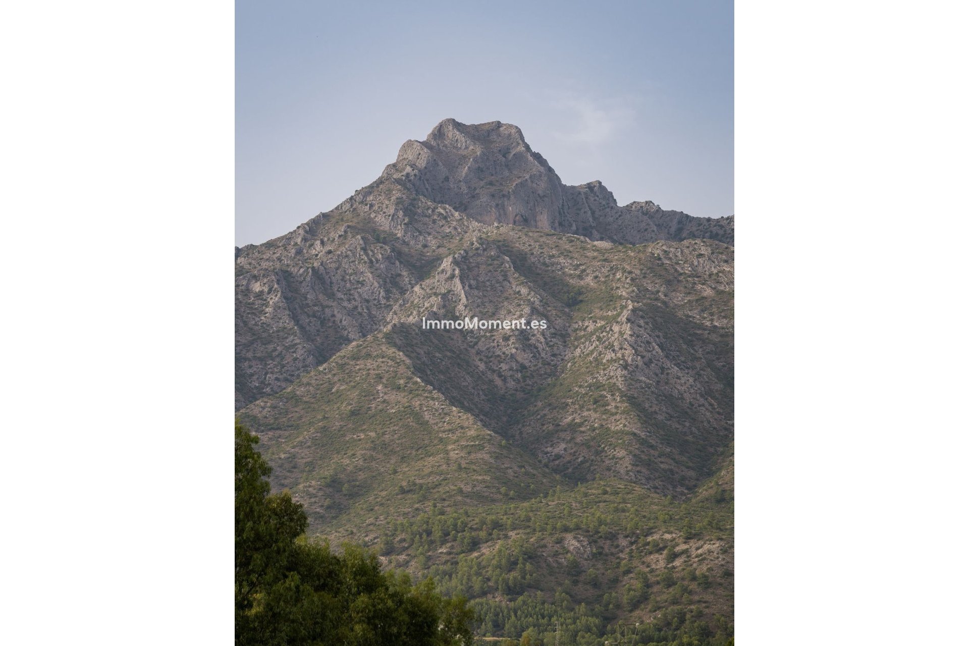 Revente - Villa individuelle - Marbella - Marbella Centro