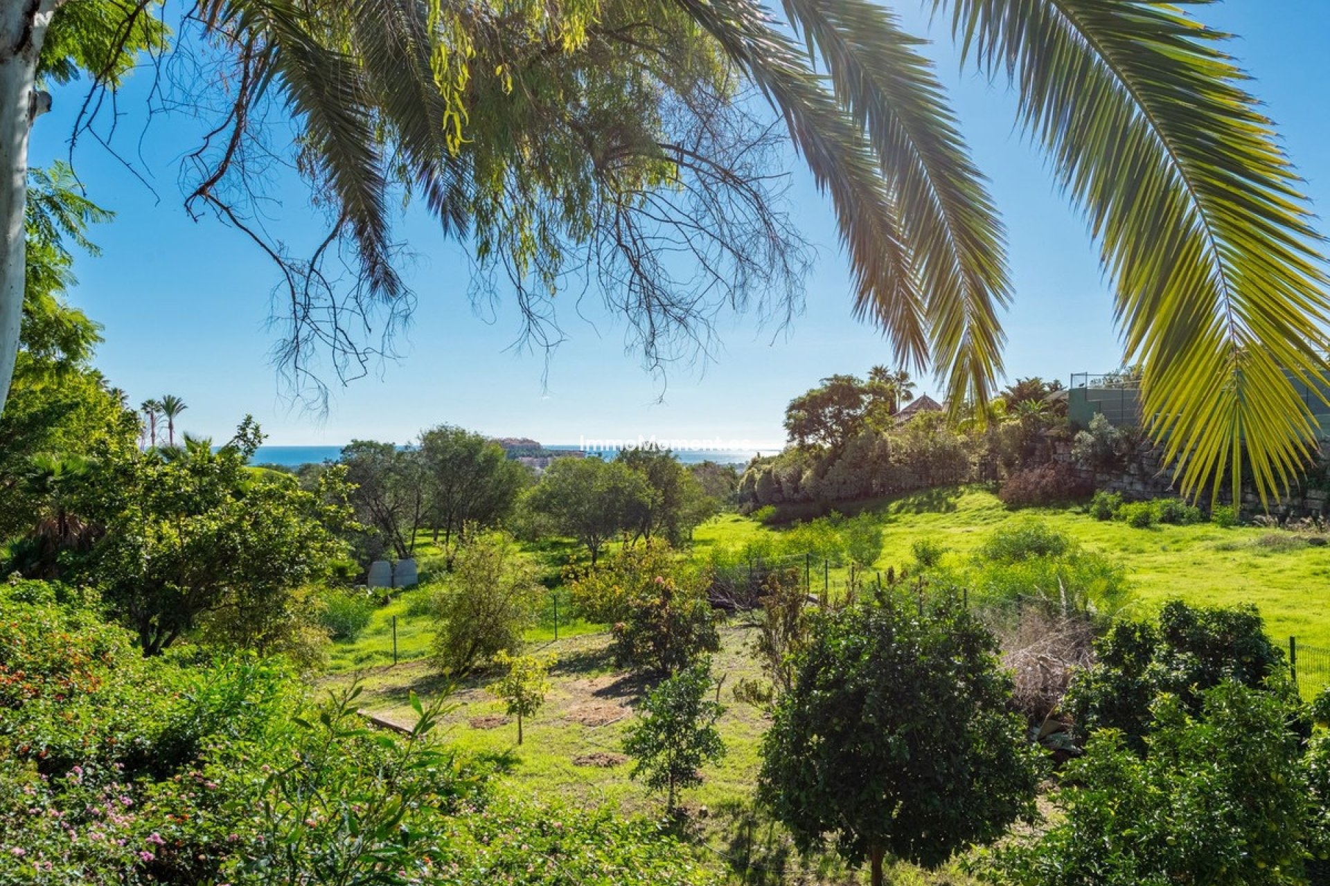 Revente - Villa individuelle - Marbella - Nueva Andalucía