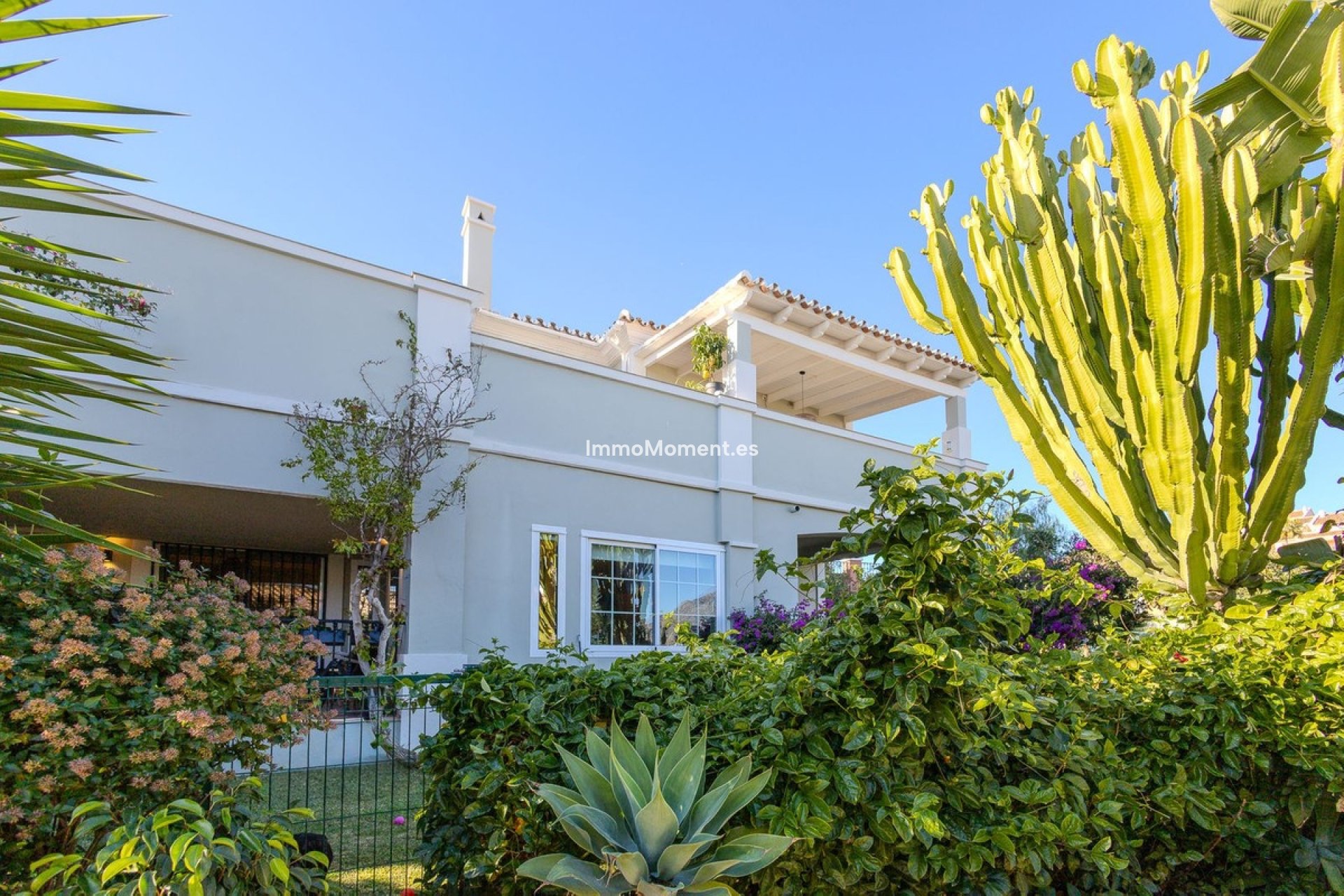 Revente - Villa individuelle - Marbella - Nueva Andalucía