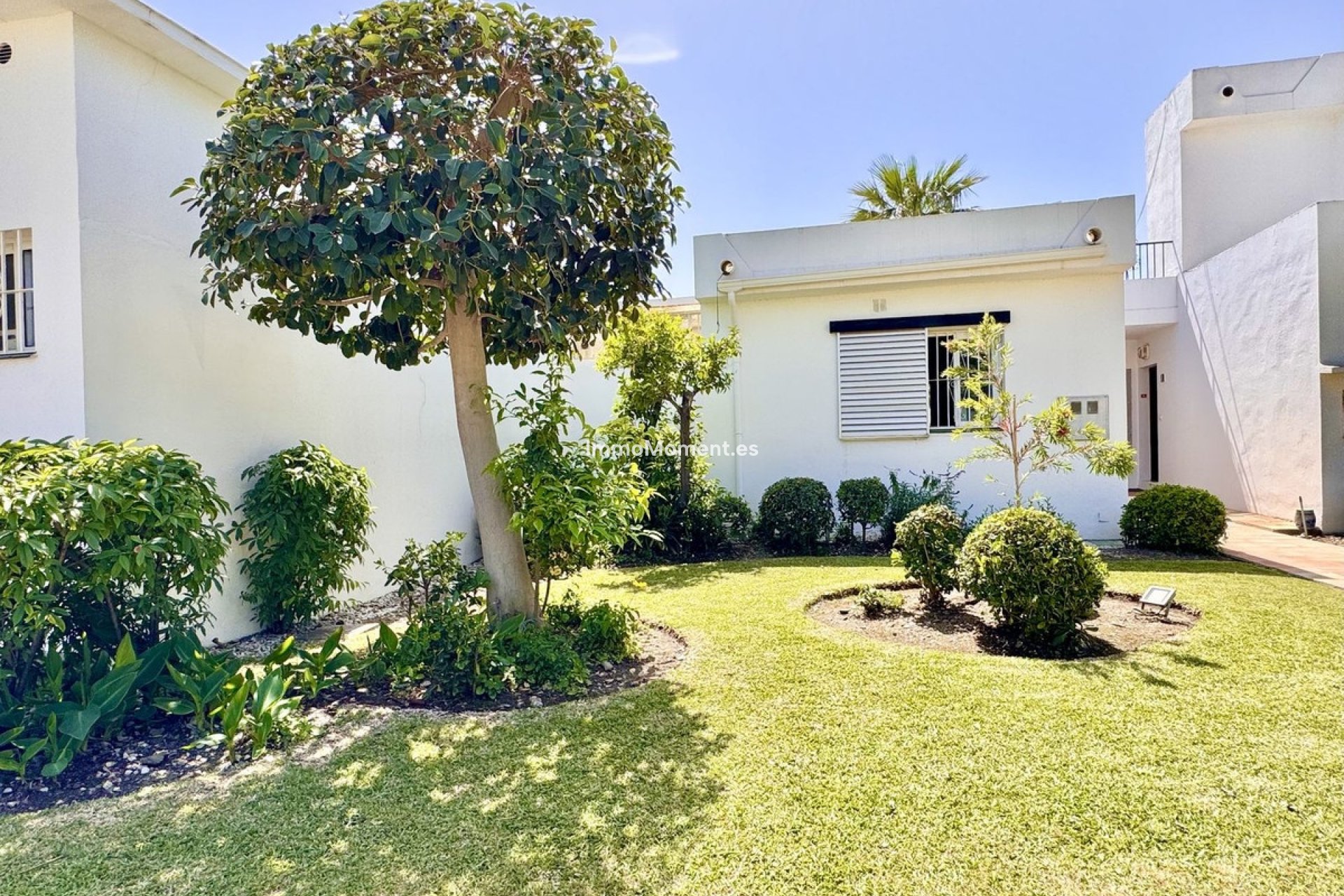 Revente - Villa individuelle - Marbella - Nueva Andalucía