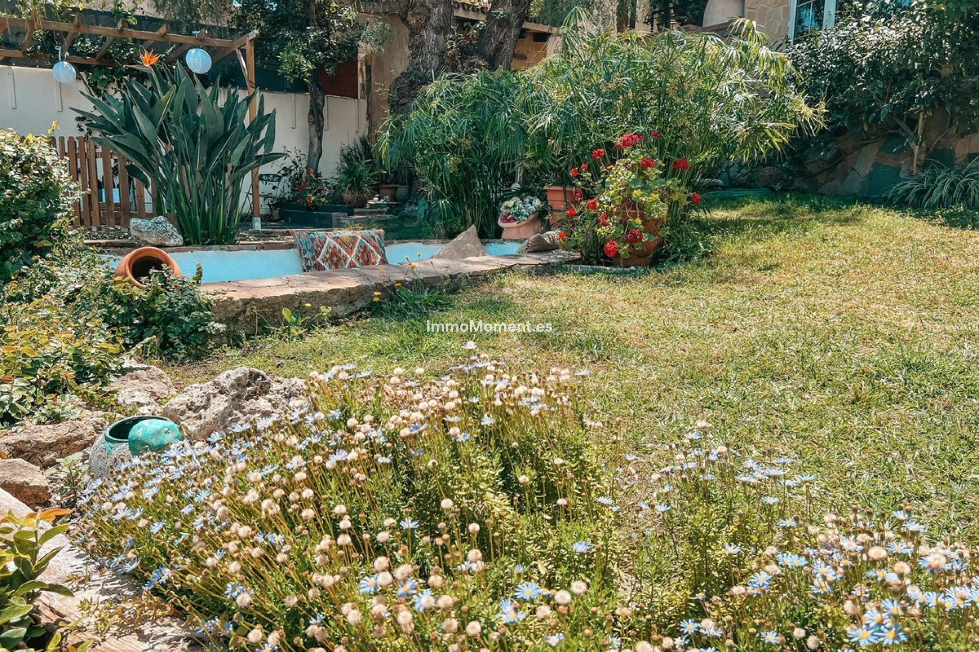Revente - Villa individuelle - Marbella - Nueva Andalucía