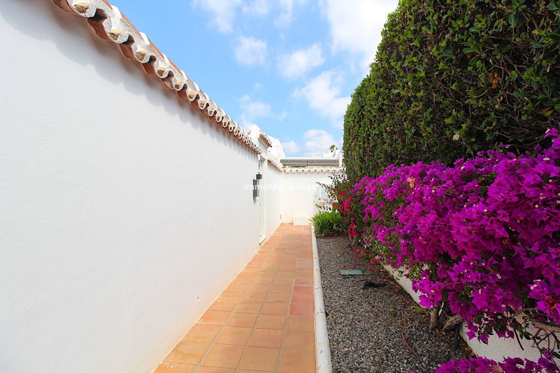 Revente - Villa individuelle - Marbella - Nueva Andalucía